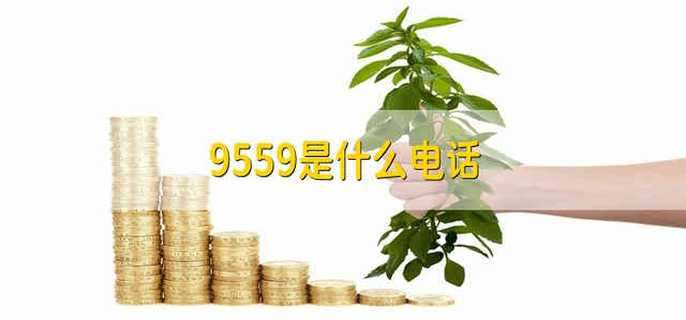 9559是什么电话