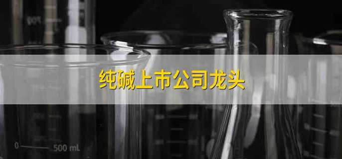纯碱上市公司龙头