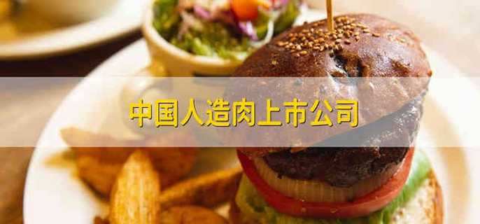 中国人造肉上市公司