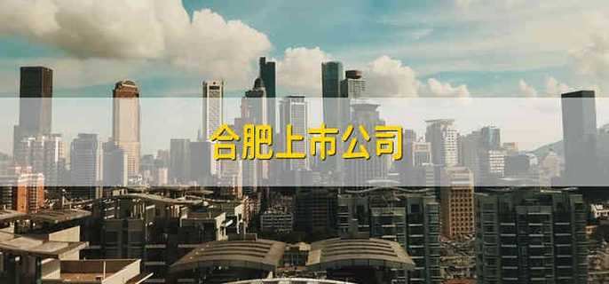 合肥上市公司