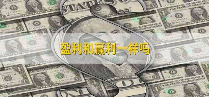 盈利和赢利一样吗