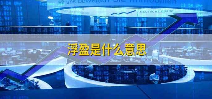 浮盈是什么意思
