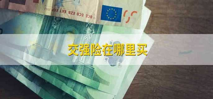 交强险在哪里买