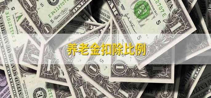 养老金扣除比例