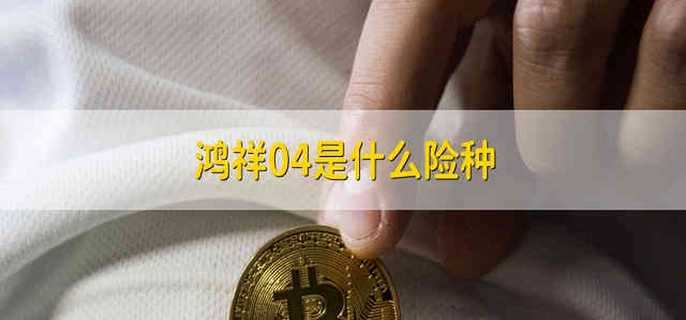 鸿祥04是什么险种