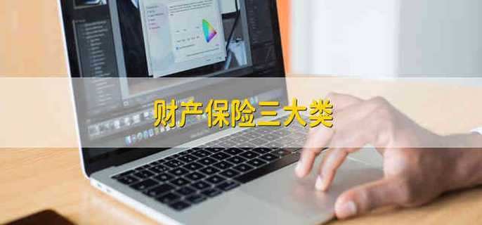 财产保险三大类