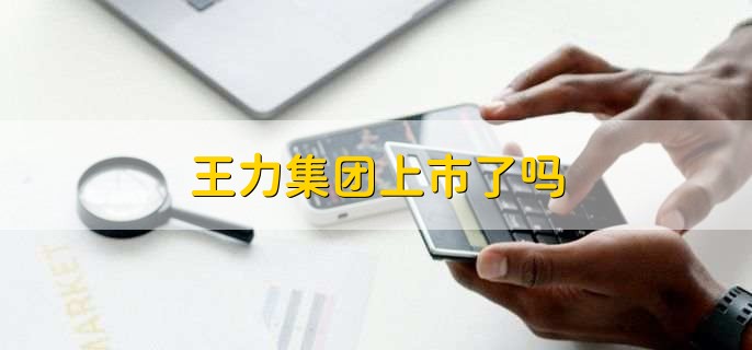 王力集团上市了吗