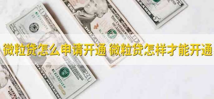 微粒贷怎么申请开通