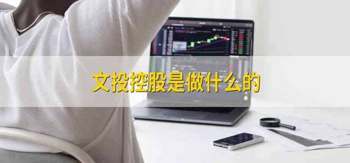 文投控股是做什么的