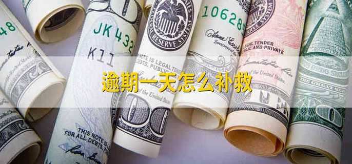 逾期一天怎么补救