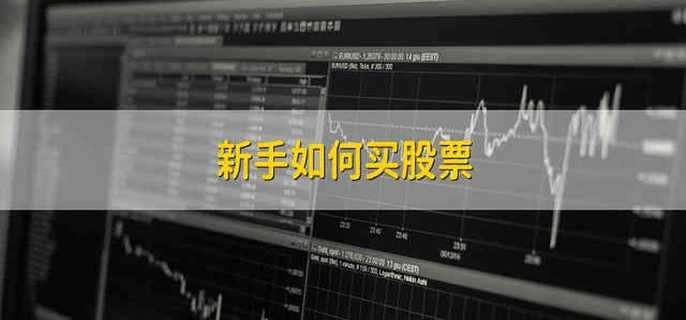 新手如何买股票