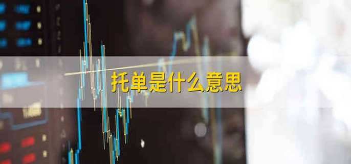 托单是什么意思