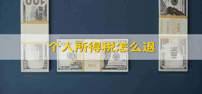 个人所得税怎么退
