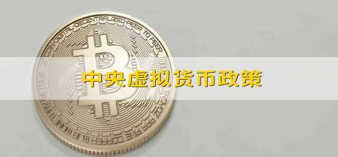 中央虚拟货币政策