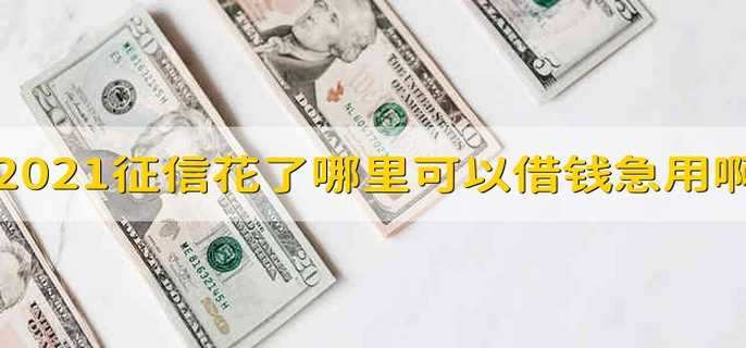 2021征信花了哪里可以借钱急用啊