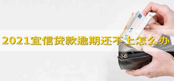 2021宜信贷款逾期还不上怎么办