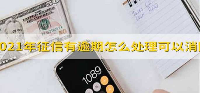 2021年征信有逾期怎么处理可以消除