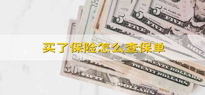 买了保险怎么查保单