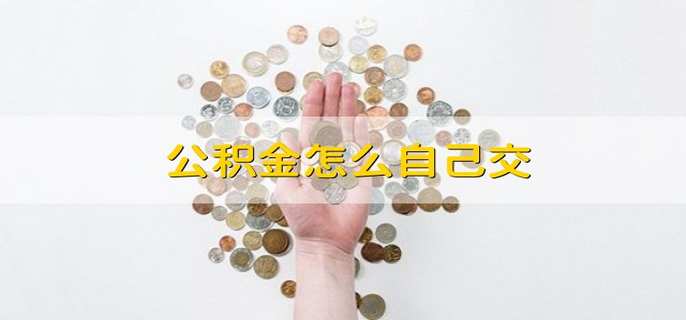 公积金怎么自己交