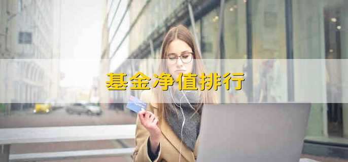 基金净值排行