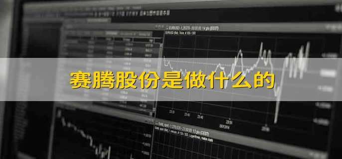 赛腾股份是做什么的