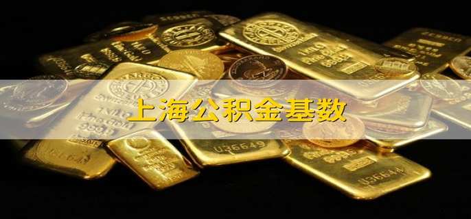 上海公积金基数