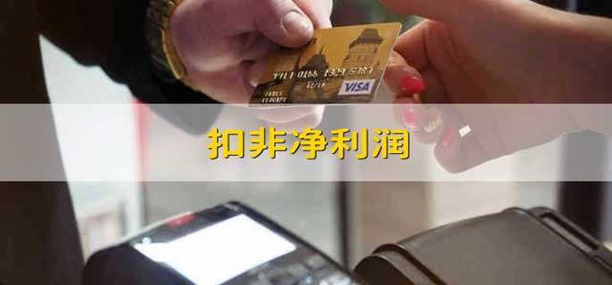 扣非净利润