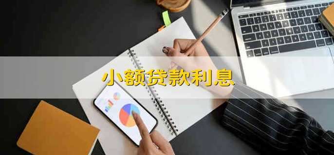 小额贷款利息