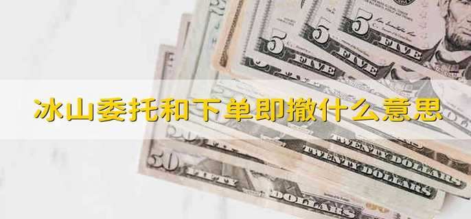 冰山委托和下单即撤什么意思