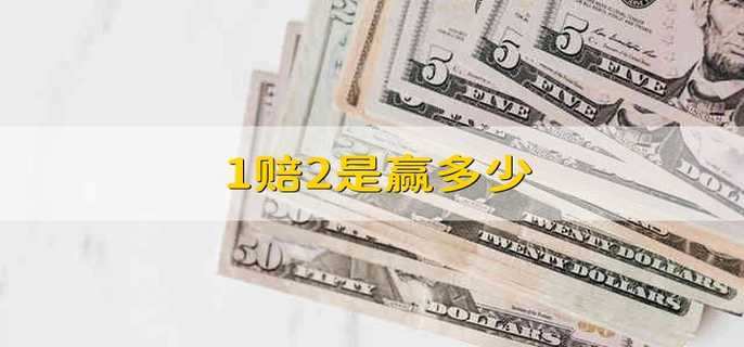 1赔2是赢多少