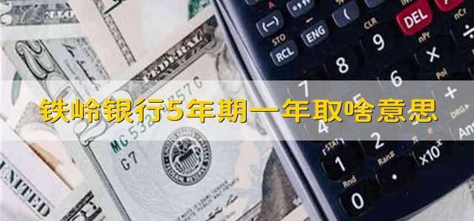 铁岭银行5年期一年取啥意思