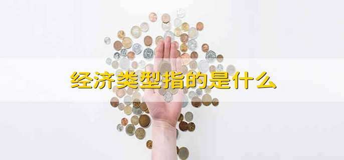 经济类型指的是什么