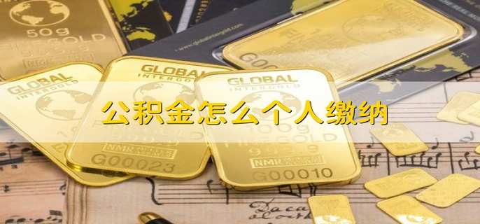 公积金怎么个人缴纳