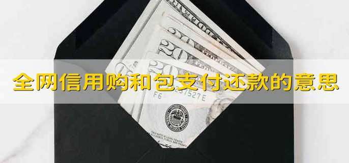 全网信用购和包支付还款是什么意思