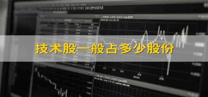 技术股一般占多少股份