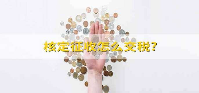 核定征收怎么交税?
