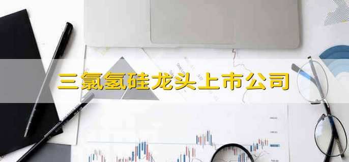 三氯氢硅龙头上市公司
