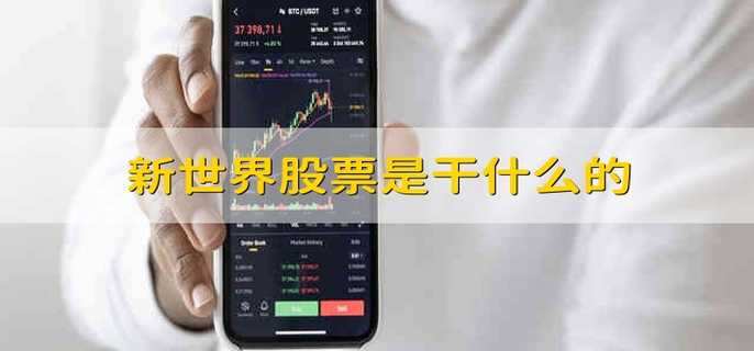 新世界股票是干什么的