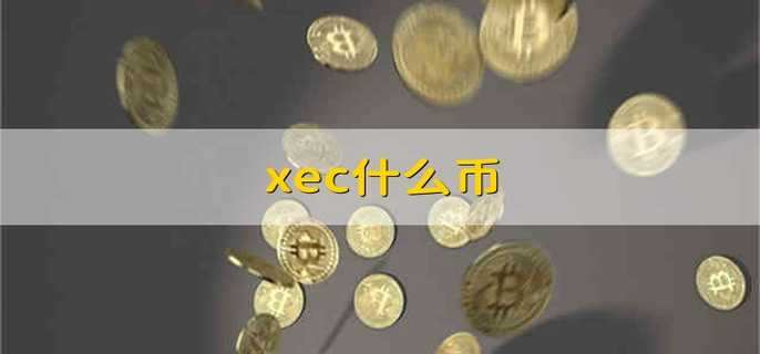 xec什么币