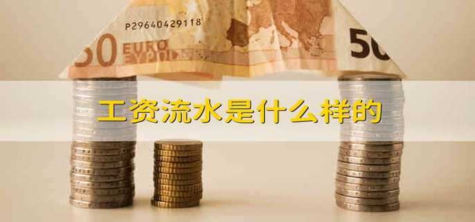 工资流水是什么样的