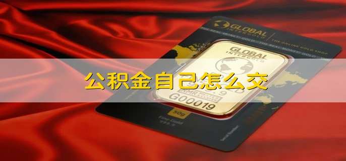 公积金自己怎么交