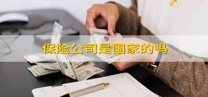 保险公司是国家的吗