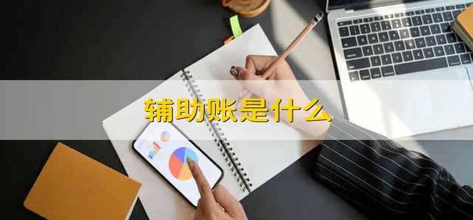 辅助账是什么