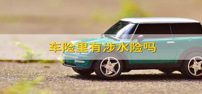 车险里有涉水险吗