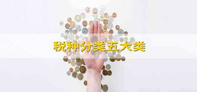 税种分类五大类