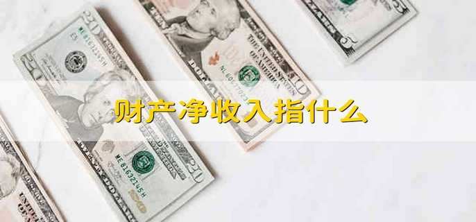 财产净收入指什么