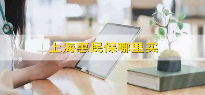 上海惠民保哪里买
