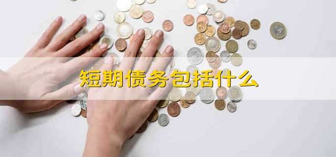 短期债务包括什么