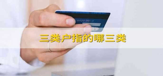 三类户指的哪三类