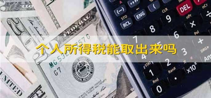 个人所得税能取出来吗